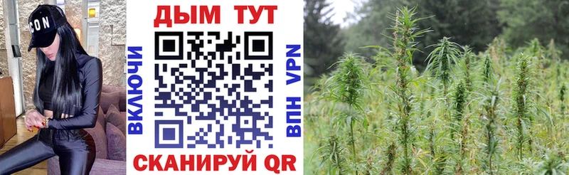 Все наркотики Пушкино Каннабис  БУТИРАТ  СОЛЬ  ГАШ  КОКАИН  Меф мяу мяу 
