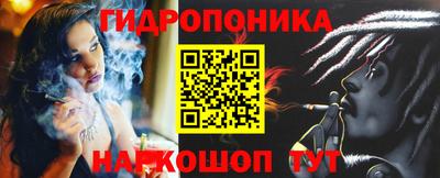 apvp Кунгур
