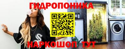 спиды Краснознаменск