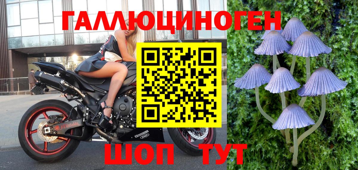 Псилоцибиновые грибы MAGIC MUSHROOMS  купить наркотик  Пушкино  Вход с VPN  Псилоцибиновые грибы Magic Shrooms 