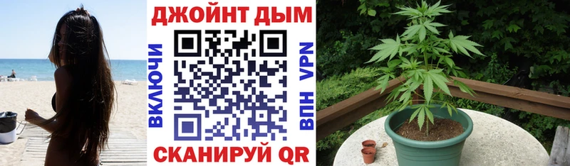 Шишки марихуана конопля  как найти   Пушкино 